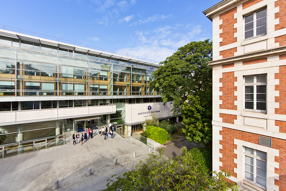 Institut Pasteur (IP)
